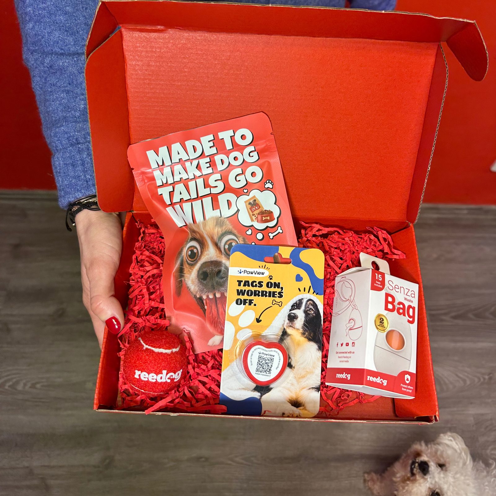Reedog Valentine's Box for Dogs – Treats & PawView - Electric