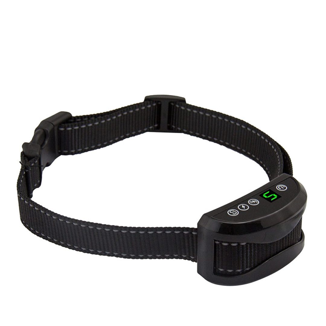 No bark collar with remote best sale