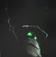 Beacon Locator SportDog svíticí přívěšek