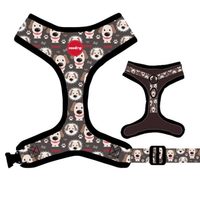 Reedog PUPPY | Postroj pre psa
