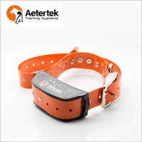 Jak odnaučit psa štěkat a výt