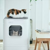 Автоматический самоочищающийся туалет для кошек LavvieBot
