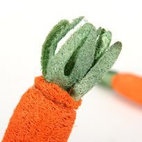 Reedog carrot, loofah dental toy
