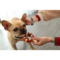 Reedog Bone, dental toy for dogs