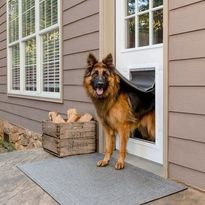 Двери PetSafe® Extreme Weather Door™ для холодной погоды