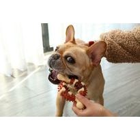 Reedog Bone, Zahnspielzeug für Hunde