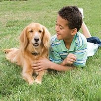 PetSafe ohradník pro malé a střední psy