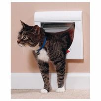 Pet door Staywell 917 white with tunnel