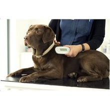 SureSense II chip reader for dogs and other pets