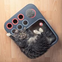 Cheerble Board Game for cats 3v1