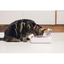 Smart Pet feeder for dogs and cats - Electric-Collars.com