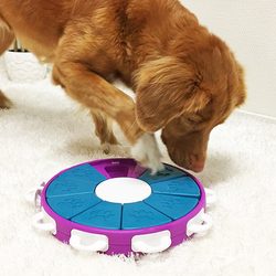 Dog puzzle & feeder in one Twister