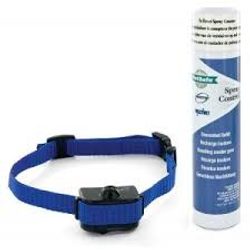 PetSafe Little Dog