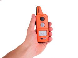 Elektronisches Erzihungshlasband d - control professional 1000 ONE orange