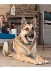 USED - PetSafe Smart Dog training collar