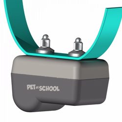 Pet at School Bark Pulse