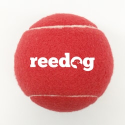 Reedog Tennisball gross