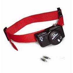 used petsafe wireless fence