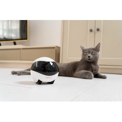 Ruchoma kamera dla zwierząt domowych EBO SE - Smart kamery -  Obroza-Elektryczna.pl ®