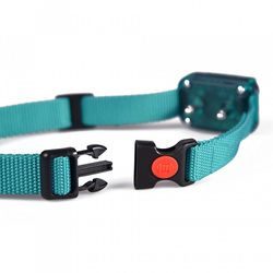 mini green dog collar