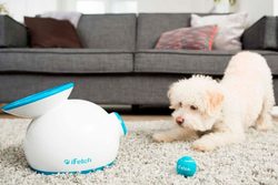 iFetch: nejlepší automatický vrhač míčků pro malé i velké psy