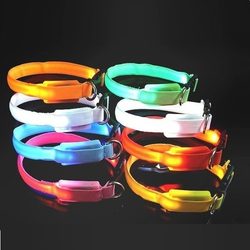 Reedog glowing collar for cats and small dogs - Glowing collars -  Electric-Collars.com