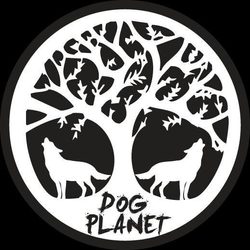Interview: Dog Planet - Bildung, Ausbildung, Sozialisation von Hunden