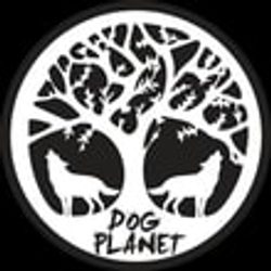 Rozhovor: Dog Planet - výchova, výcvik, socializácia psov