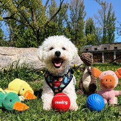 MAX CELEBRATES HIS BIRTHDAY! CELEBRATE WITH HIM! - Electric
