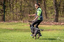 "Bez vzájemné komunikace  nelze psa cvičit": Rozhovor s profesionální kynoložkou Michaelou Končulovou