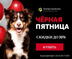 Черная пятница 2021 - скидки до 30%