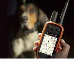 GPS für Hunde GARMIN vs. TRACKER - Wer von wem? Informieren Sie sich bei uns!