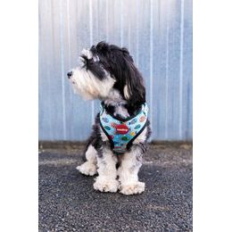 Dukier DOGTELLA