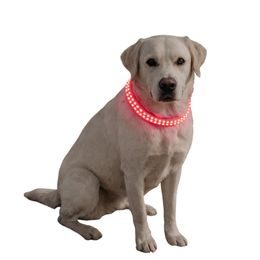 Reedog luminous USB świecąca obroża dla małych, śrdnich i dużych psów