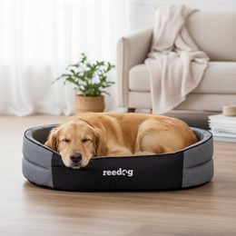 Reedog Igloo Light Paw