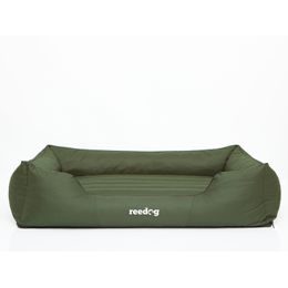 Pelech pre psa Reedog Comfy Green