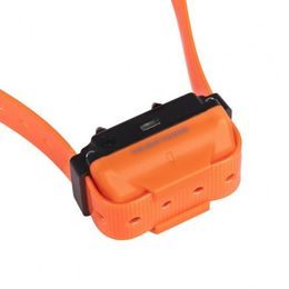 Dogtrace d-control professional 1000 mini - orange