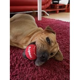 Přetahovadlo Reedog, bavlněné lano s míčem, 22 cm