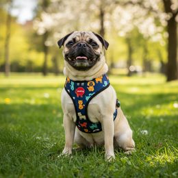 Reedog DINO BLACK harness