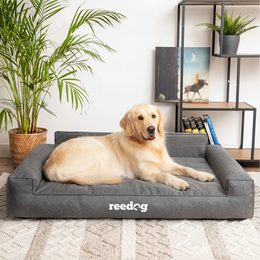Cama para perro Reedog Beige Tommy