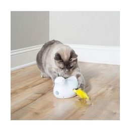 Wickedbone - interactive bone for dogs and cats