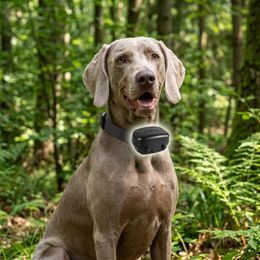 Dogtrace DOG GPS X30T