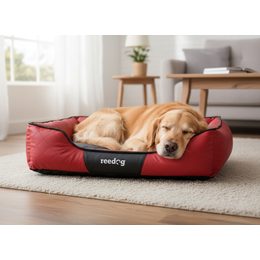 Reedog Bed Black & Red Sofa