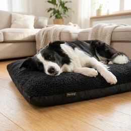 Reedog Bed Grey Sofa