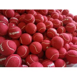 Reedog tennis ball for the dog - S