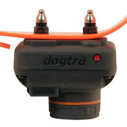 Dogtra 2500T&B / 2502 T&B collar y receptor