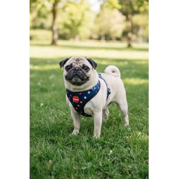 Szelki dla kota ze smyczą BeHappyCat Jungle