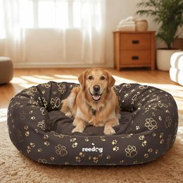 Reedog Bed Blue Strips