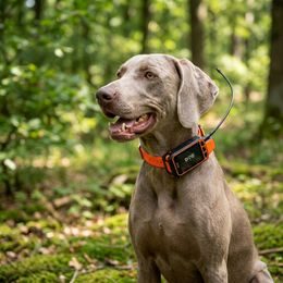 Receiver - handheld device for DOG GPS X40