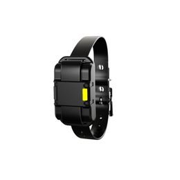 Obojek a přijímač Patpet 625